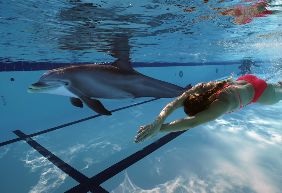 Как живой - инженеры создали реалистичного робота-дельфина - видео - фото 1