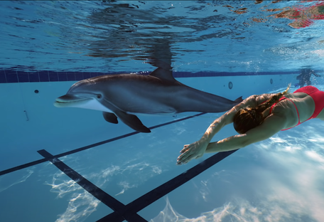 Як живий: інженери створили реалістичного робота-дельфіна - відео