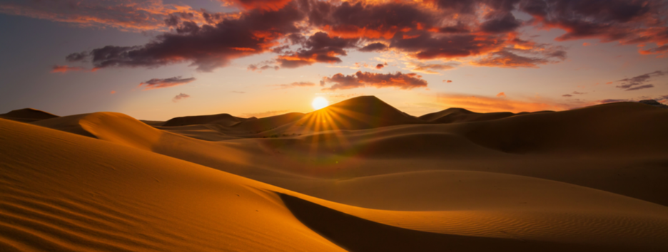 Не настільки пуста: вчені розвіяли один з міфів про Сахару