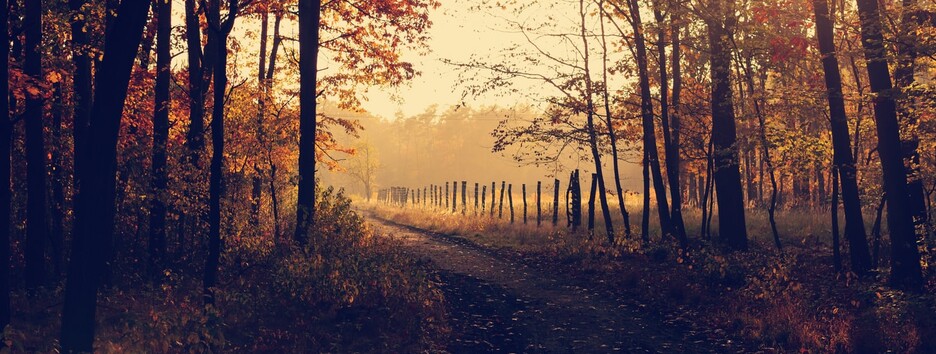 «Жовтень об'єднався із народом»: у більшості областей опади малоймовірні - карта 