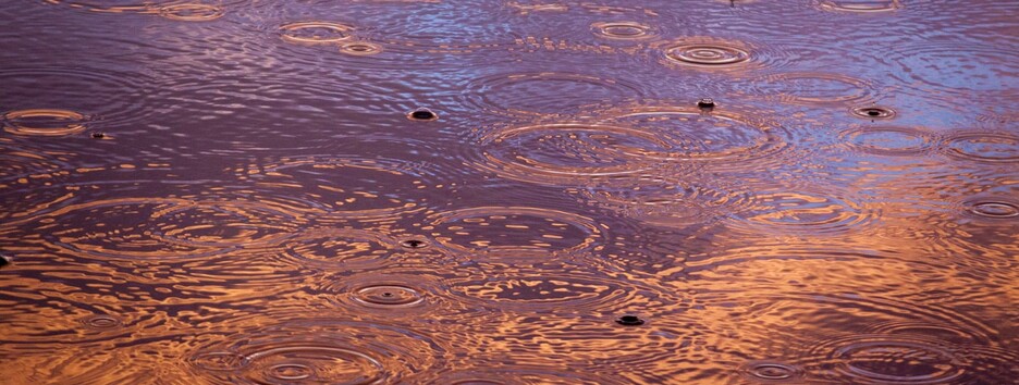 «Дождя везде будет хватать»: какую погоду ждать в первый день ноября - карта