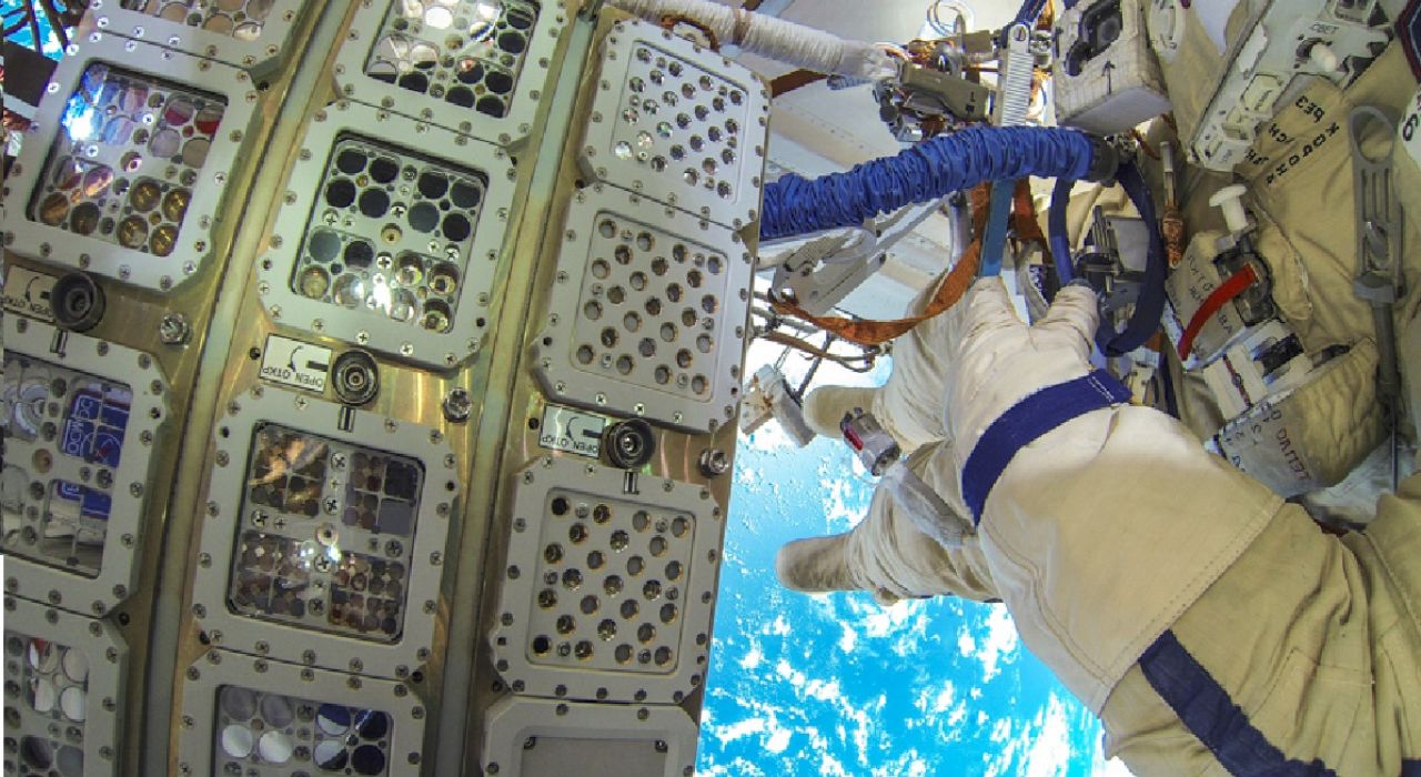 Земные водоросли выжили после 450 дней в открытом космосе