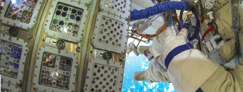 Земные водоросли выжили после 450 дней в открытом космосе