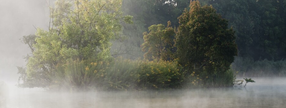 Плохая видимость и дожди: какую погоду ждать в четверг - карта