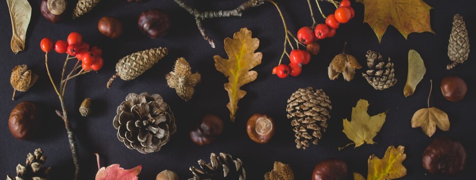 Погода на вихідні: антициклон Ramesh заблокує дощі в Україні - карта