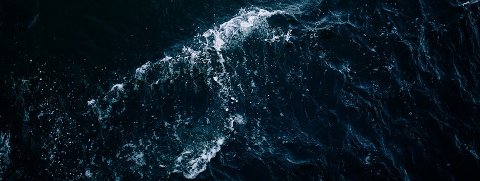 С панцирем в виде скрепки: ученые нашли живший веками древний организм - фото