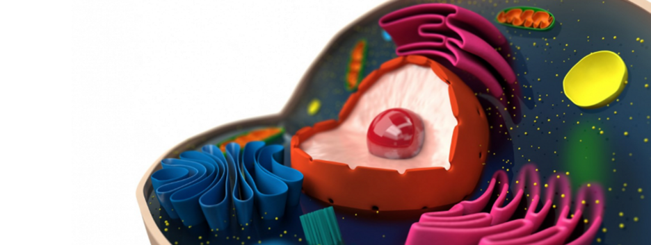 Тайны эволюции: ученые пересмотрели свои взгляды на важный механизм