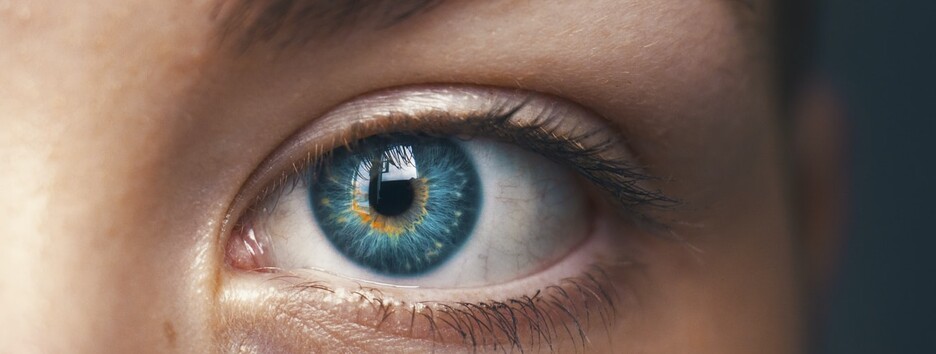 Відновлення нервових клітин і лікування глаукоми: вчені порадували відкриттями - фото