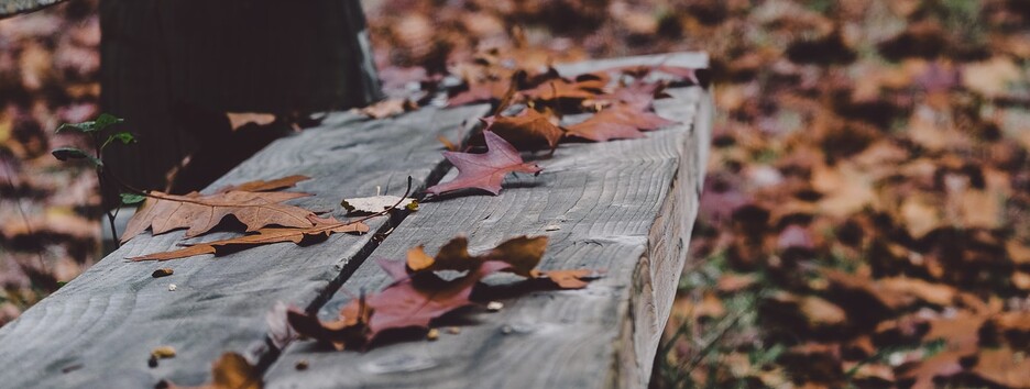 «Надалі похолодання зміцниться»: яку погоду чекати в Україні в найближчі дні - карта