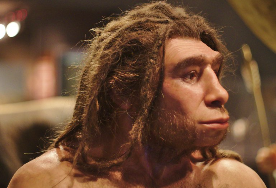 Мало відрізнялися від людей: вчені розповіли про війни неандертальців - фото 1
