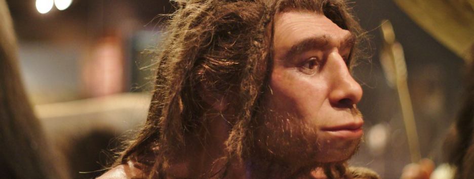 Мало отличались от людей: ученые рассказали о войнах неандертальцев