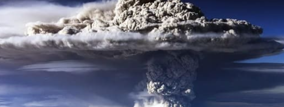 Наслідки світової конфлікту: де людина зможе знайти їжу під час ядерної зими