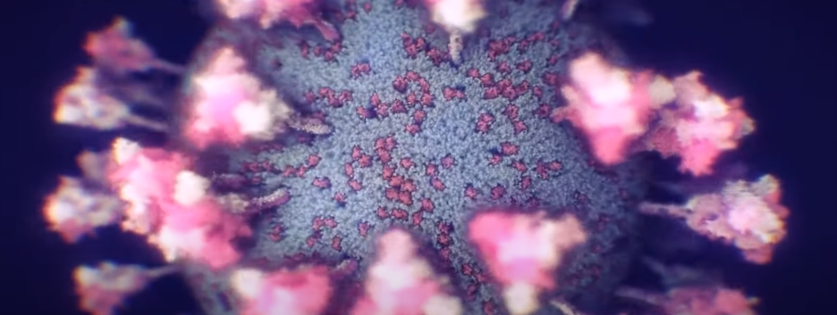 Найточніша 3D-модель: вчені показали повну структуру SARS-CoV-2 - відео