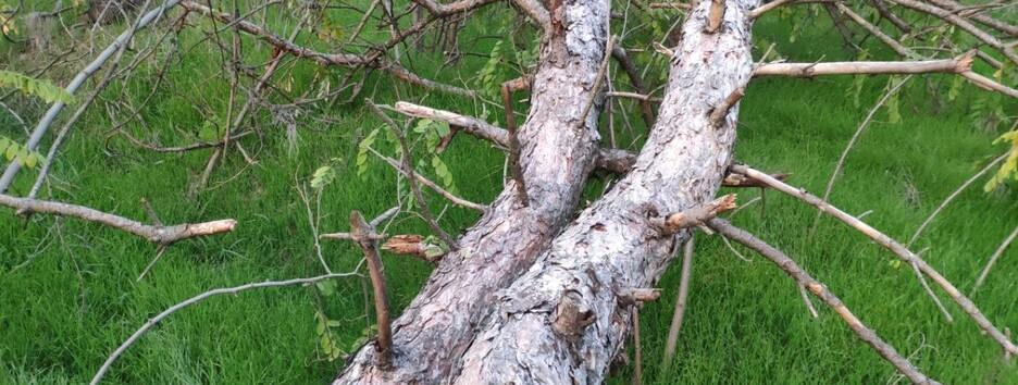 Погода на сьогодні: місцями очікуються дощі та сніг, температура до +10 - карта