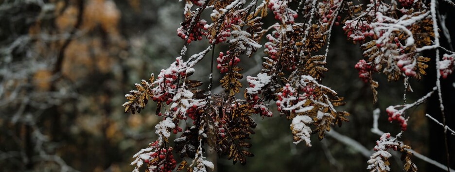 Погода на сьогодні: місцями очікується сніг, температура вдень до +6 - карта
