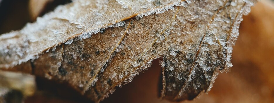 «Щільніше закутайте шию»: яку погоду чекати у неділю - карта