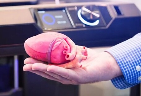Бумажное сердце: на 3D-принтере напечатали реалистичную модель органа – видео 