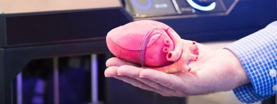 Бумажное сердце: на 3D-принтере напечатали реалистичную модель органа – видео 