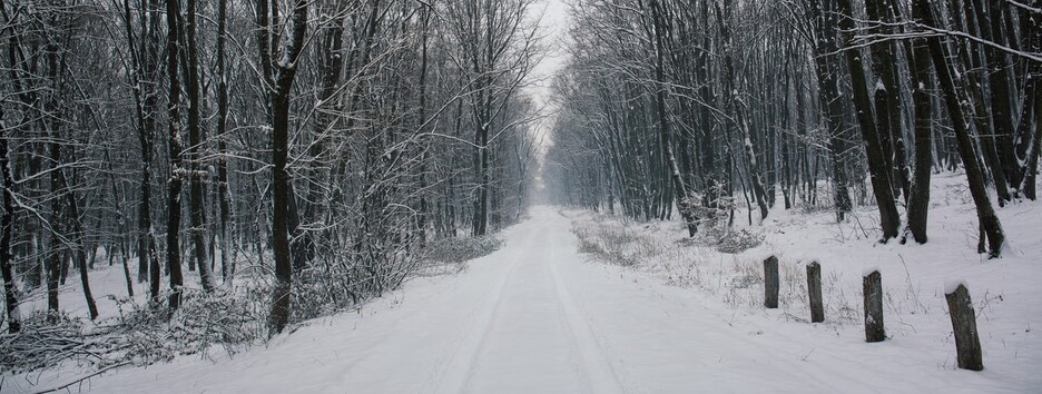 «Температурный контраст»: какую погоду ожидать в воскресенье - карта
