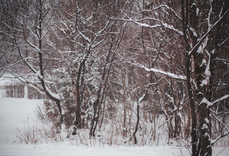Премьера зимнего сезона - местами ожидается дождь, снег и сильный ветер - карта - фото 1