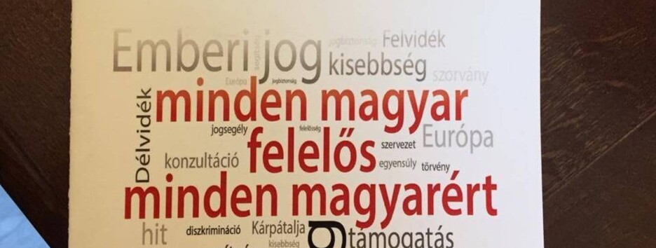 Обшуки СБУ на Закарпатті: Угорщина поскаржилася в НАТО і ОБСЄ - фото