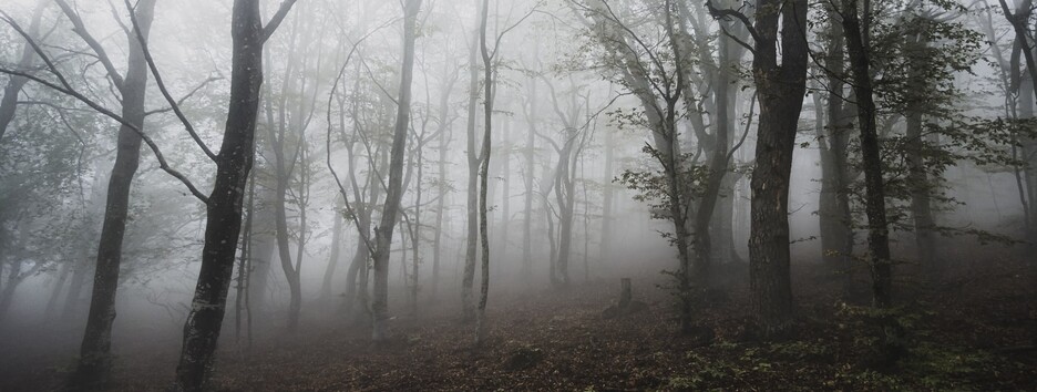 Погода на сьогодні: в Україні очікуються «нав'язливі неромантичні тумани», місцями потеплішає - карта
