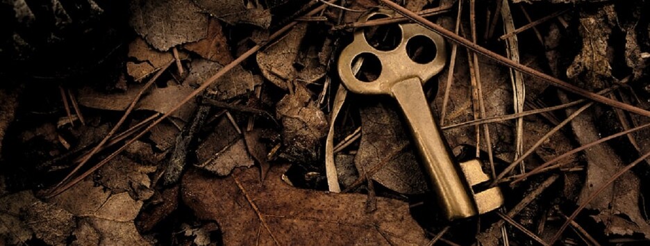 У гонитві за скарбами: американець витратив 2 роки, щоб знайти скарб мільйонера