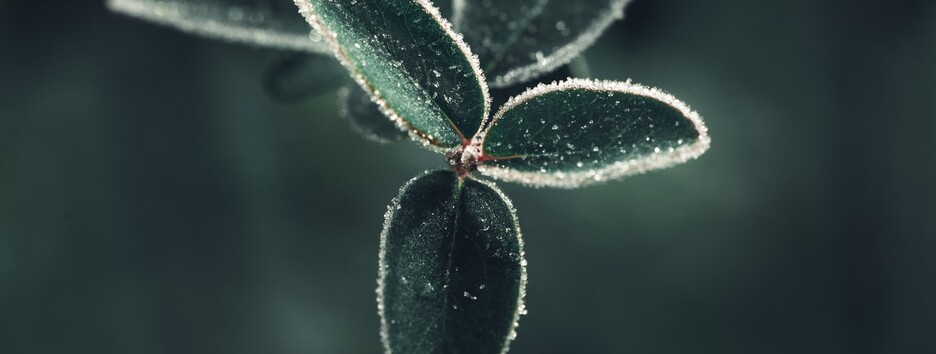 «Не збавляйте обережність»: у низці областей очікується мокрий сніг та ожеледиця - карта