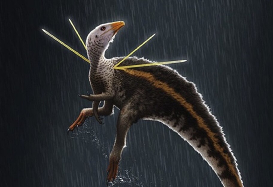 Новий вид динозавра - неймовірне відкриття німецьких палеонтологів - фото - фото 1