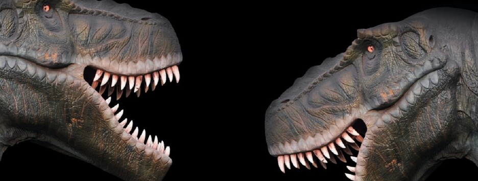 Загадка текодонтозавра: ученые воссоздали мозг древнего существа и сделали интересные выводы