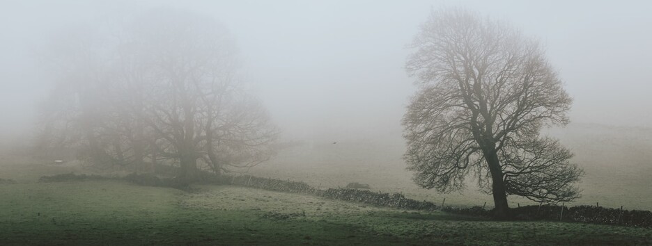 Погода на сьогодні: українців попереджають про тумани та ожеледицю - карта