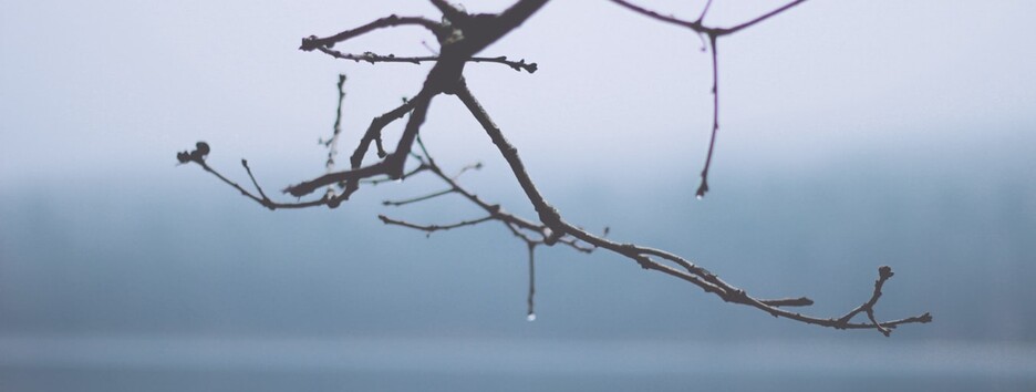 Погода на Миколая: у більшості областей буде хмарно, волого та з відлигою - карта