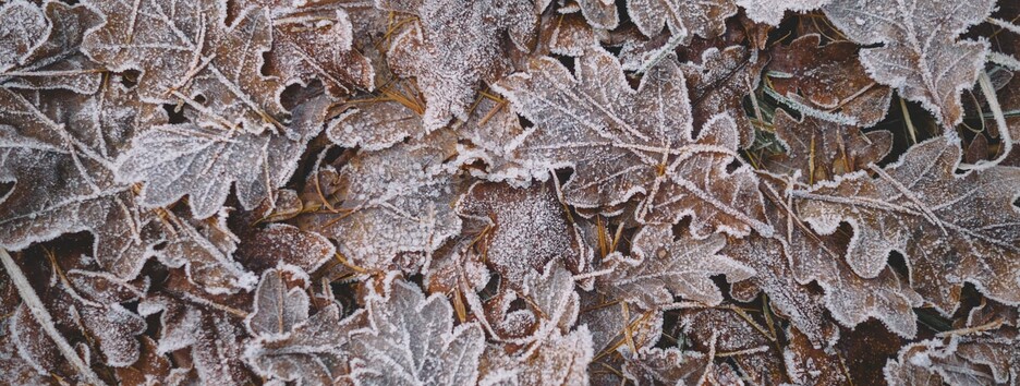 «Погода покаже характер»: в Україні очікується сніг та дощі - карта