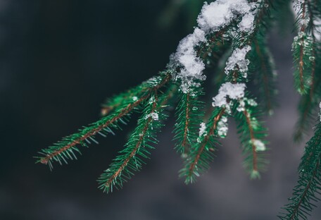Погода на Рождество западного обряда: ожидаются дожди, снег и гололед - карта