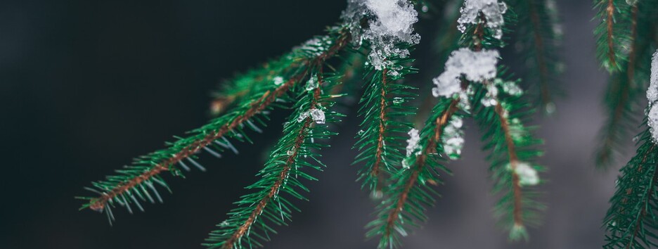 Погода на Різдво західного обряду: очікуються дощі, сніг та ожеледь - карта