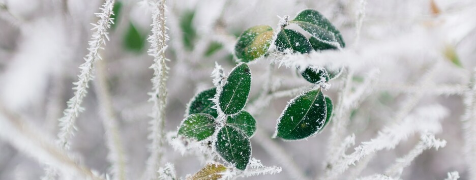 Начало астрономической зимы: какую погоду ждать украинцам - карта
