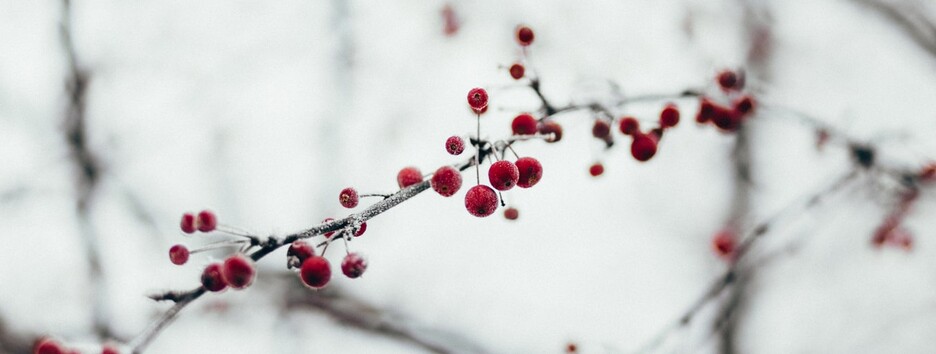 «Неділя буде з антициклоном»: в Україні очікується переважно суха погода - карта