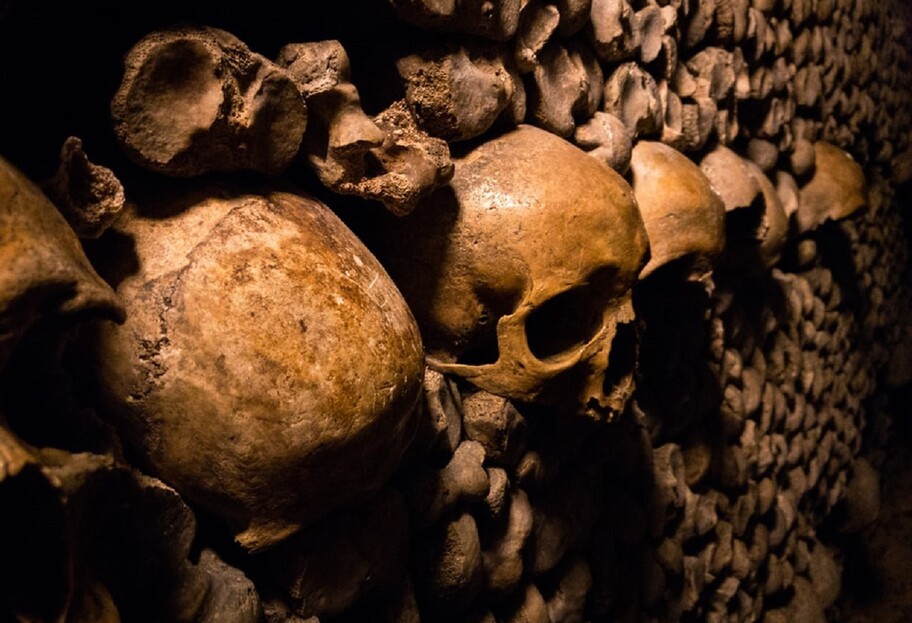 Жизнь древних людей - стало известно, что предки человека могли впадать в спячку - фото 1