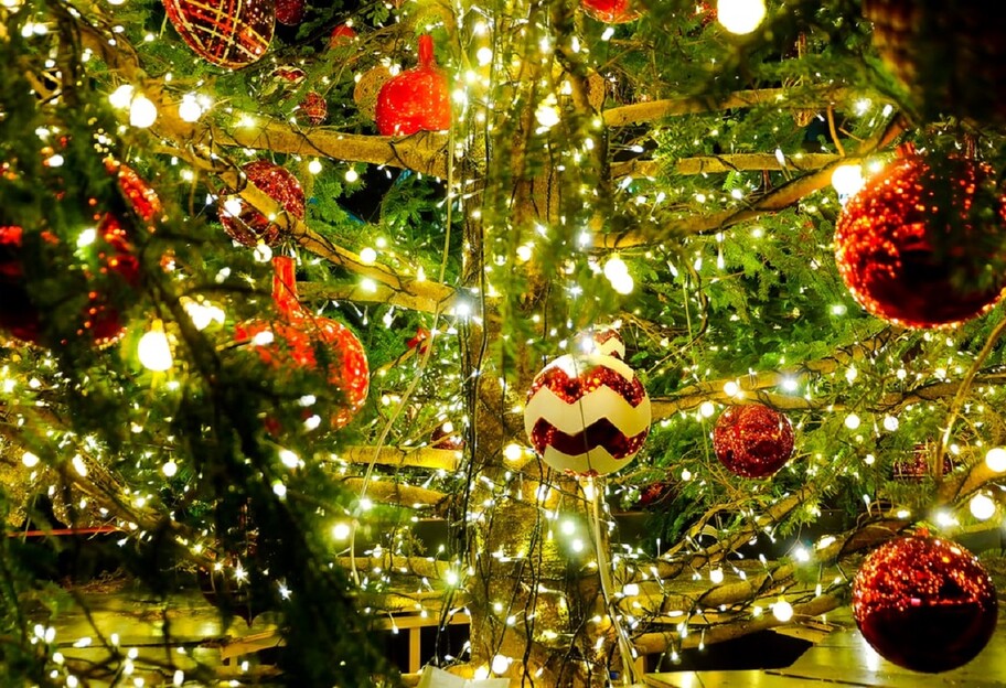 Купить елку - где и почем можно приобрести главный символ Нового года, советы жителям Киева - фото 1