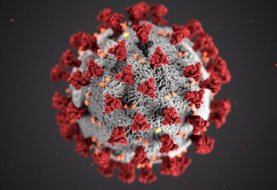 Происхождение коронавируса - как Китай пытается скрыть исследование ковид - фото 1