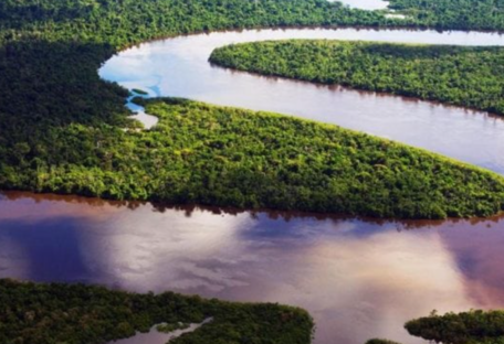 Перетворяться в суху рівнину: вчені озвучили тривожний прогноз по лісах Амазонки