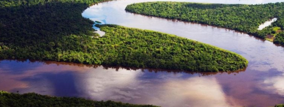 Перетворяться в суху рівнину: вчені озвучили тривожний прогноз по лісах Амазонки
