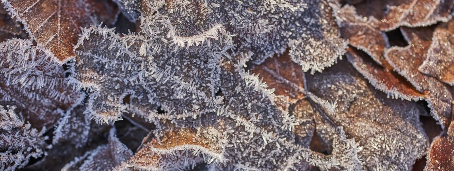 Погода на січень: що природа готує українцям