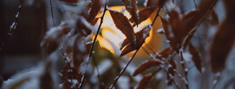 Погода в Україні: синоптик розповіла, чого чекати на Святвечір - карта