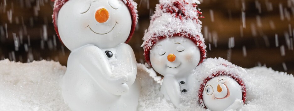 Погода в Україні: коли і де чекати сніг