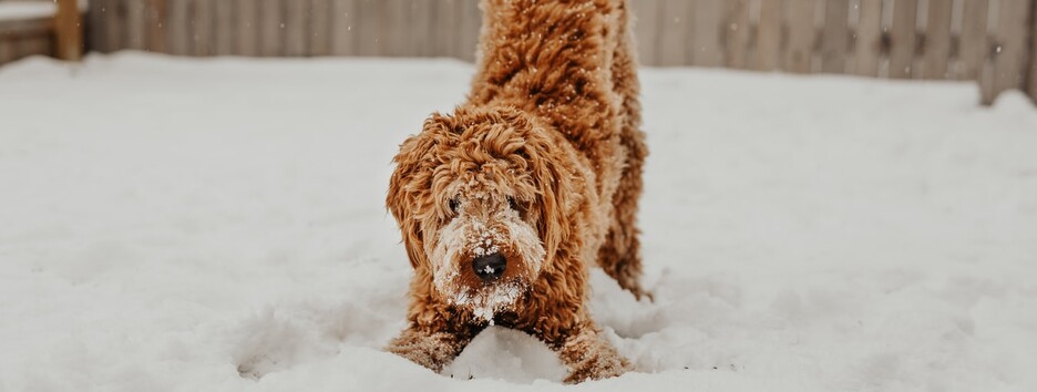 10 січня: яке сьогодні свято, День ангела і прикмети - відео