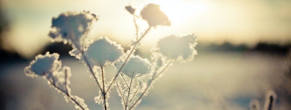 Погода на сьогодні: в низці областей очікується мокрий сніг з дощем - карта