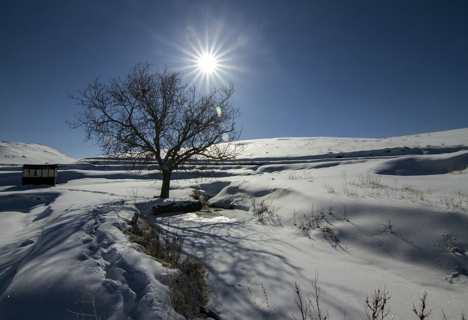 Погода в Україні 11 січня - синоптик розповіла, коли очікується похолодання - карта - фото 1