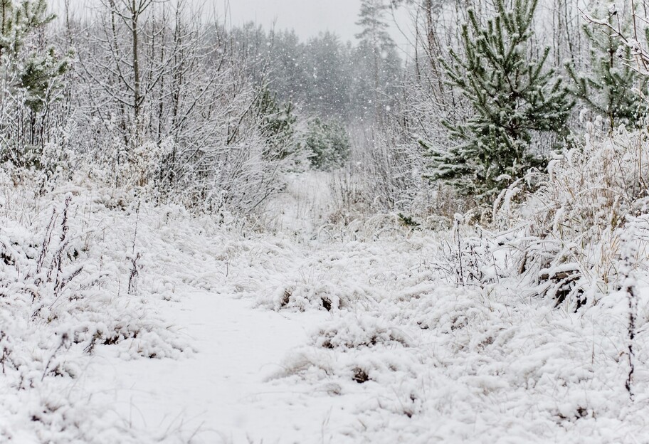 Погода в Украине 15 января - синоптик предупредила о снегопаде и гололеде - фото 1