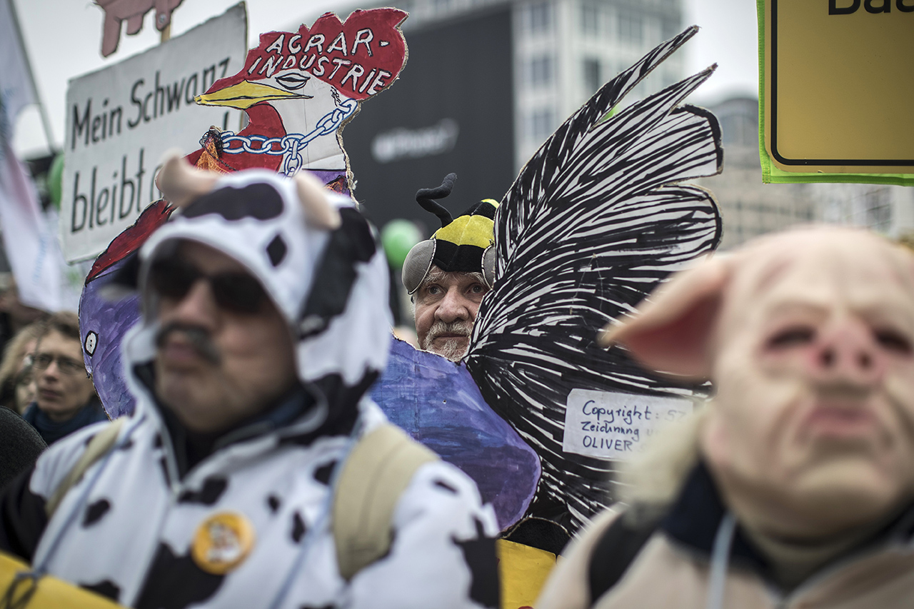Какая ярмарка без акции протеста? Эти переодетые в животных люди выступают против ГМО